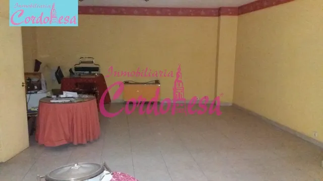 FANTASTICO LOCAL COMERCIAL EN PLENO CENTRO — 3