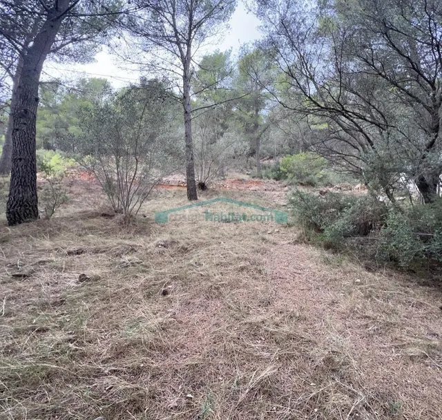 Oportunidad en Serra: parcela urbana de 827 m2 en un entorno - foto 4