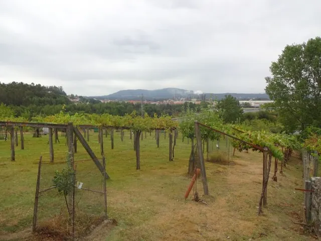 SE VENDE CASA SEÑORIAL PAREADA DE PIEDRA REFORMADA Y EN PERFECTO ESTADO EN PADRON — 40