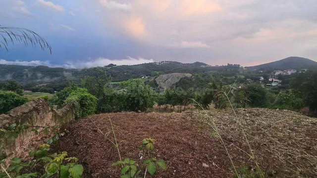 Parcela para construir una o dos casas solas o apareadas - foto 5