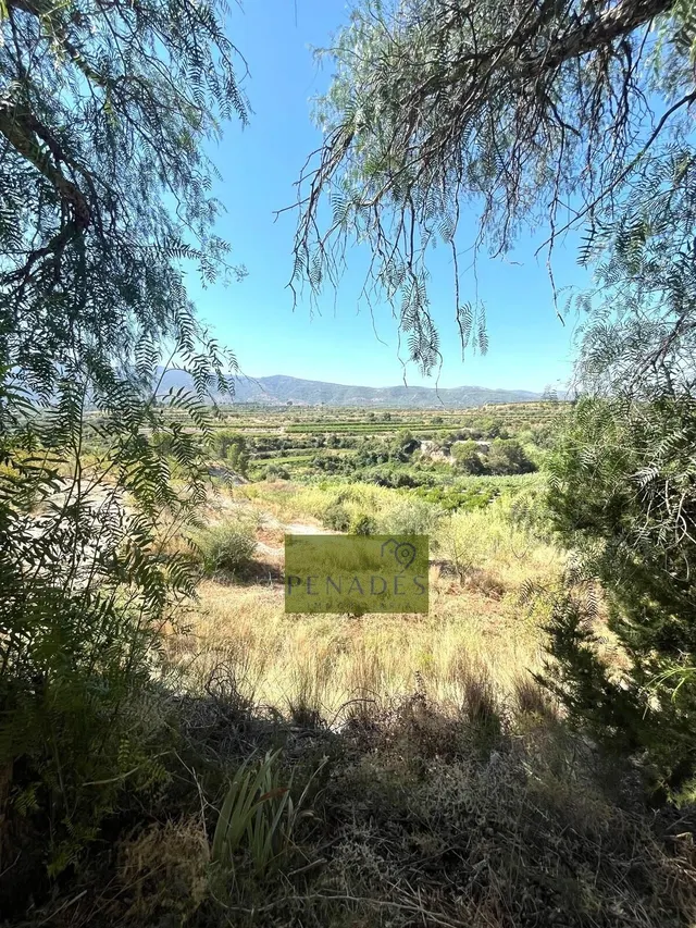 Espectacular Finca en Venta en Bèlgida — 19