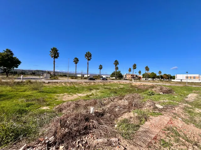 PARCELA A LA VENTA EN ALBERIQUE — 10