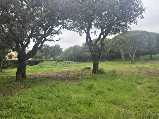 Exclusivas 4 parcelas urbanas en Sotogrande junto a Valderra - foto 3