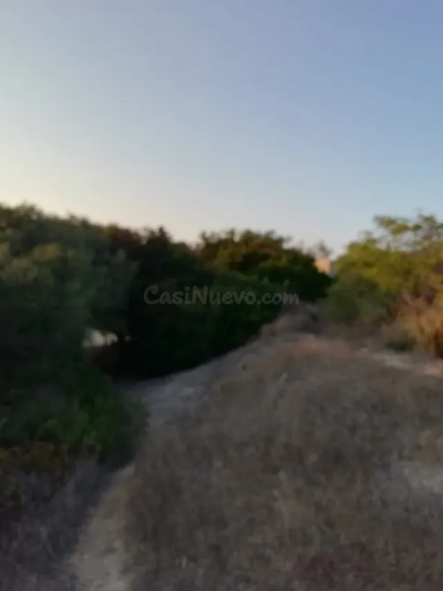 FINCA RÚSTICA EN LA ZONA DEL ABEJARUCO