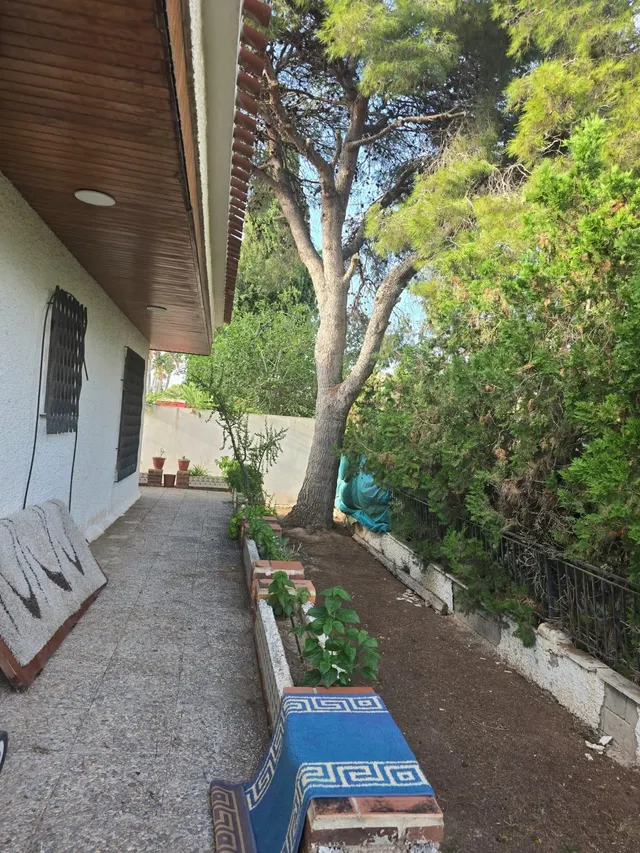 Chalet con parcela en Campoamor — 7