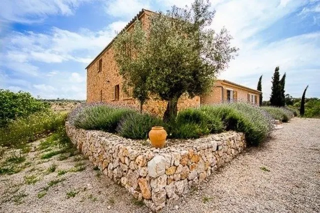 FINCA RUSTICA EN PARAJE DE PELÍCULA — 7