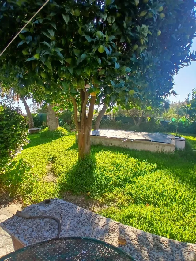Casa con piscina y jardín. — 3