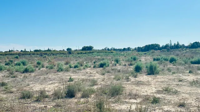 Terreno de 12.000 m2 en Perleta. — 10