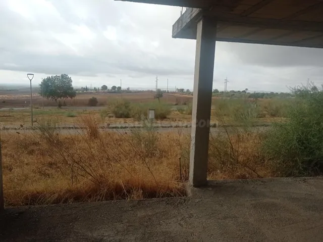 Solar en Las Pajanosas (Guillena), junto a la A-66 y a 20 mi - foto 4