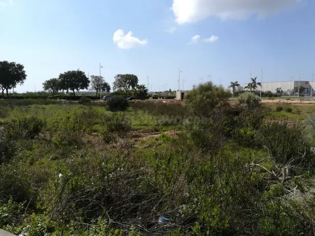 VENTA DE TERRENO INDUSTRIAL - foto 3