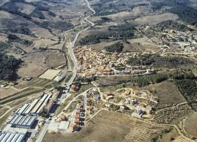 TERRENO RÚSTICO DE SECANO DE AVELLANOS - RIUDECOLS — 11