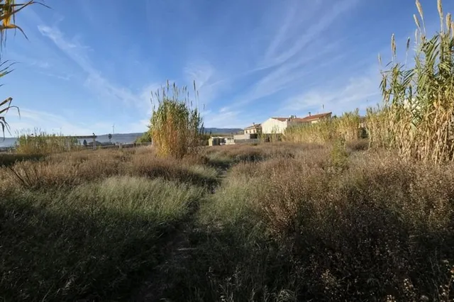 Gran parcela en Padul — 20