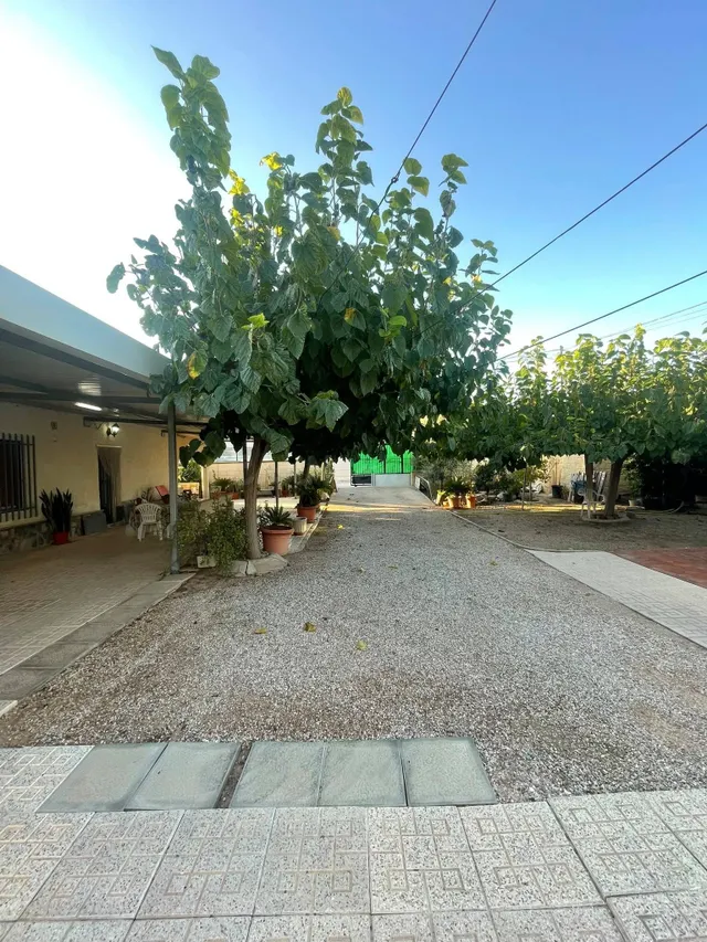 Parcela de 400 m2, garaje cerrado y gran zona exterior en Lo - foto 3