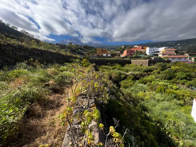 FINCA RÚSTICA CON ESTANQUE Y CUARTO DE APEROS EN ICOD DE LOS VINOS — 10