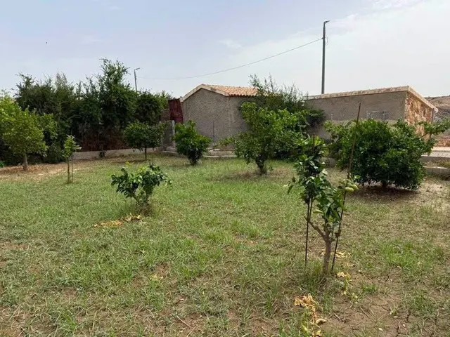Finca rústica con cortijo, nave agrícola, olivar y derechos  - foto 2