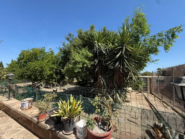 Casa de campo con piscina y terreno en las afueras de Manacor — 19