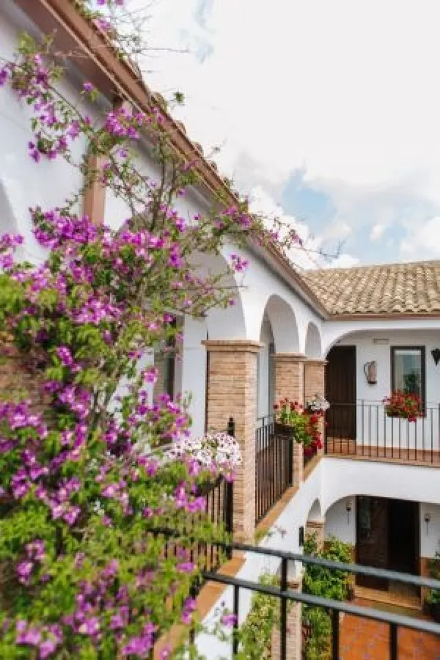 Hotel Rural en pleno centro de Almodóvar — 25