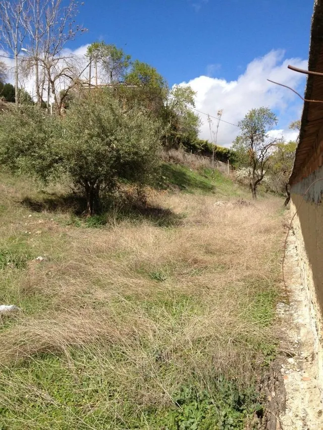 Finca urbana de 2.341 m2 con casa en la calle principal de Valdilecha — 7
