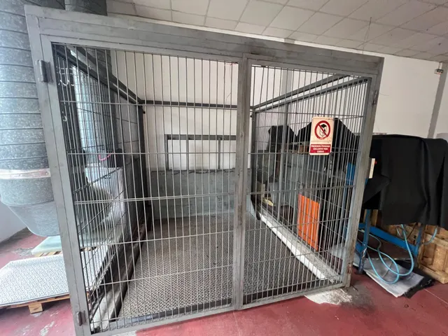 Nave en alquiler en el Parque empresarial de Torrellano, Elche. — 10
