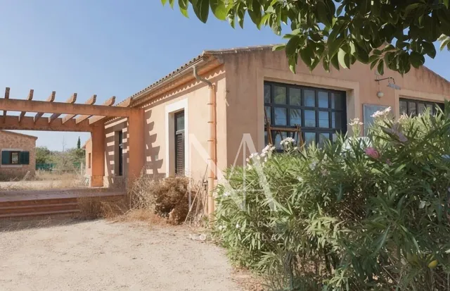 Finca rustica Llucmajor — 4