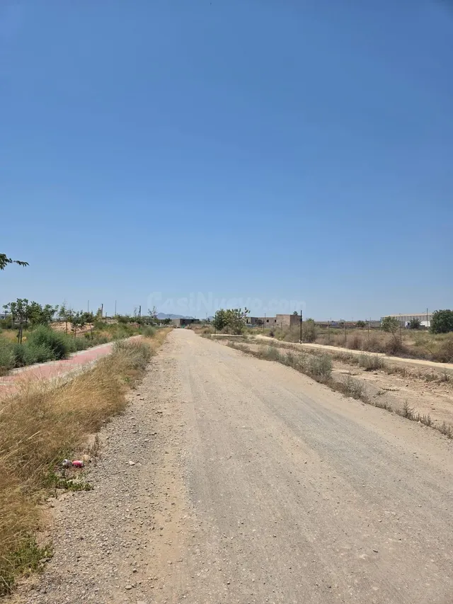 ️ EXCEPCIONAL OPORTUNIDAD DE INVERSIÓN EN LA FLORIDA – ÁGUIL - foto 2