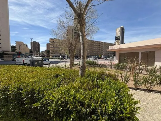 Piso de 3 dormitorios en Avenida Benissa Benidorm - foto 5