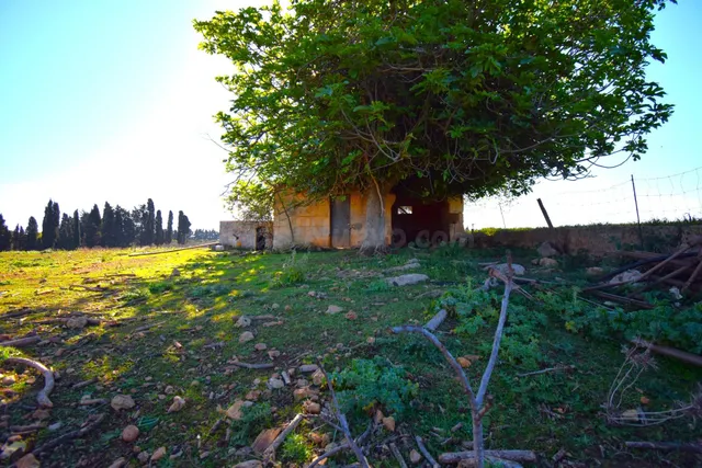 Finca rústica con posibilidad de vivienda en Muro - foto 3