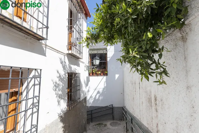 REALEJO — 3