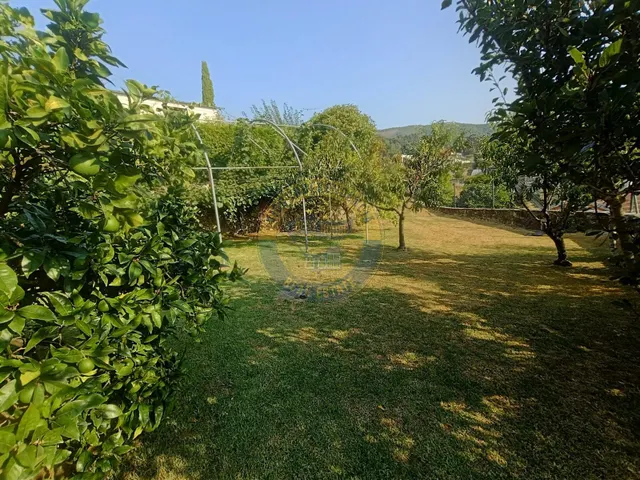 Espectacular Chalet con piscina y vistas despejadas — 8