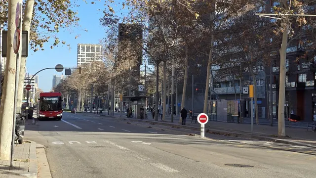 Planta alta y con mucha luz — 13