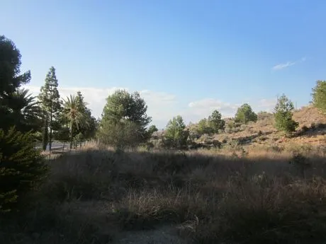 ++GRAN PARCELA DE 1700M2 — 6