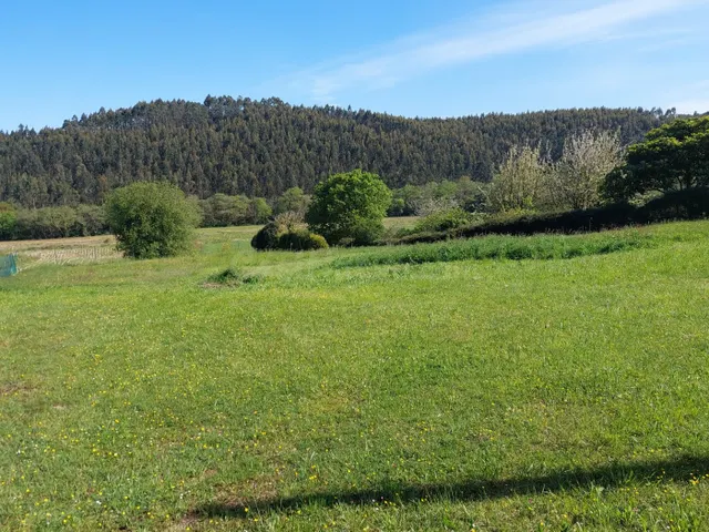 Parcela en venta - Santa maria del mar - foto 3