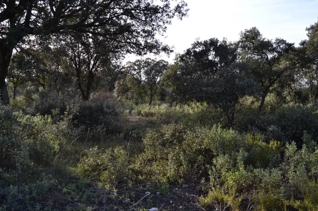 PARCELA EN EL MIRADOR DE HONTOBA