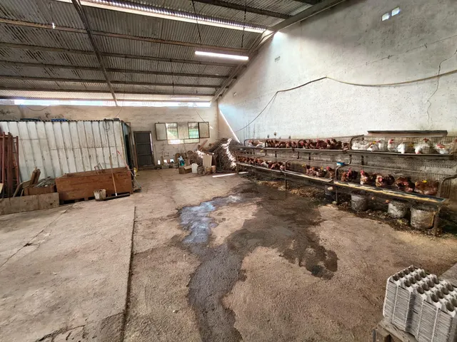 Finca Rústica con Chalet y Piscina en La Palma, Cartagena — 39