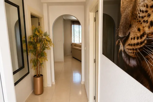 Villa 4 habitaciones 175m² en venta - Ciudad Quesada — 11