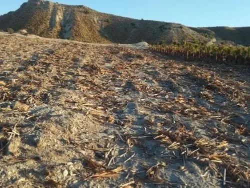 TERRENO con BALSA en Las CHinchillanas – FORTUNA (MURCIA) - foto 3