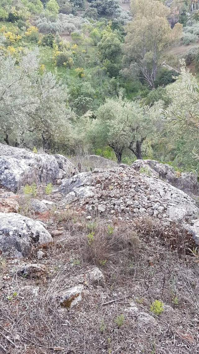 Finca rústica a la venta en Comares — 14