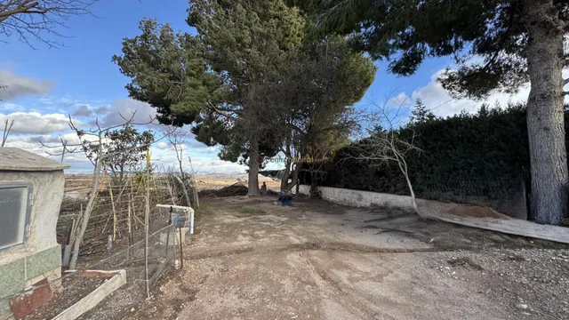 Casa cueva en Casas Ibáñez (Pinoso) — 10