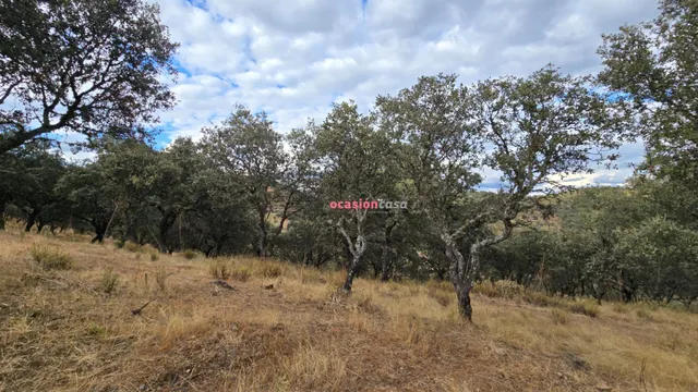FINCA RUSTICA CON VIVIENDA — 4