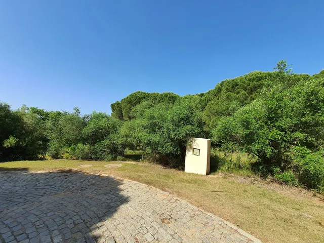 Parcela en venta - Sotogrande - Alto — 8