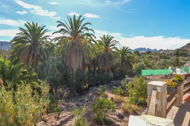 ¡Finca rústica con chalet y piscina privada en Santa Lucia! — 22