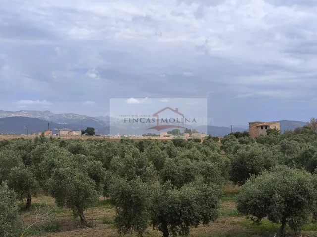 FINCA RUSTICA URBANIZABLE EN VENTA - SA POBLA