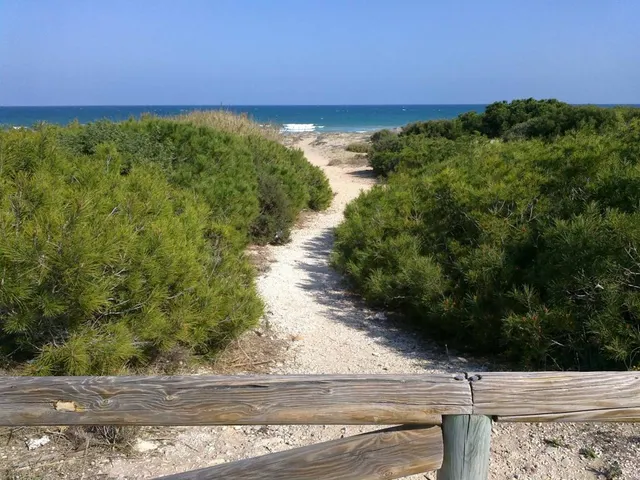 SUEÑOS Y AMANECERES EN PRIMERA LÍNEA DE MAR — 33