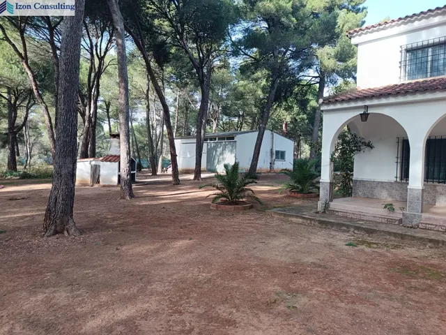 Espectacular parcela con chalet y piscina a 15 minutos de Albacete — 19