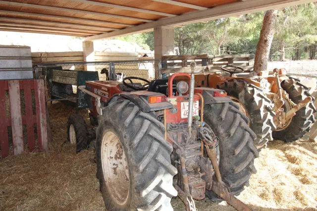 Venta masia en Alicante, zona Tibi. — 12