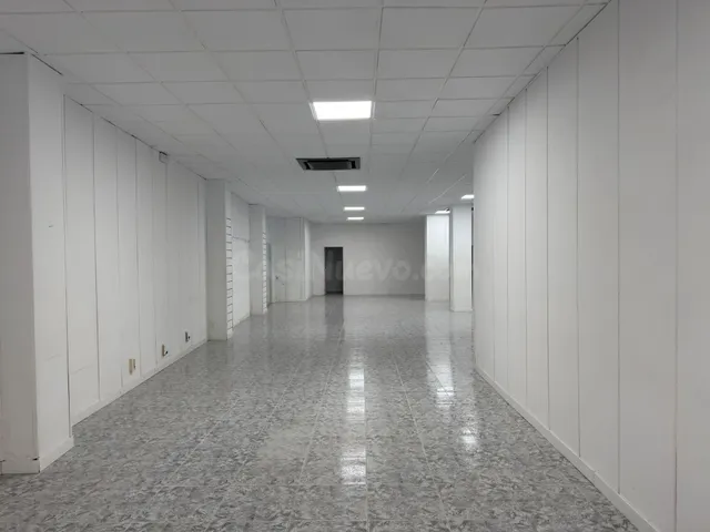 ALG140 - LOCAL COMERCIAL DE 256M2 EN AVENIDA PAIS VALENCIA D - foto 3