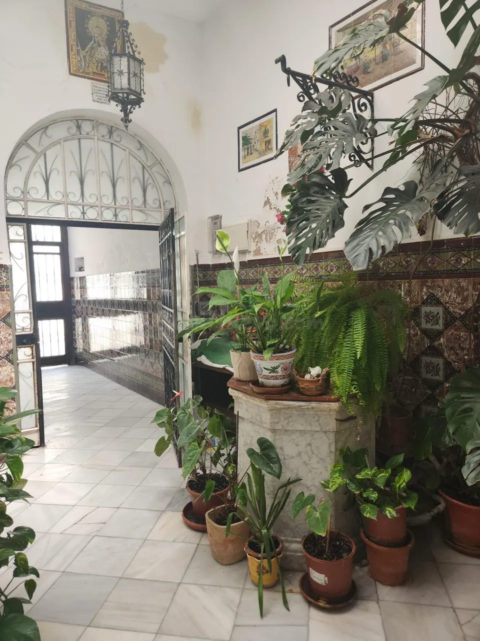 CASA SOLA EN UN LUGAR EMBLEMÁTICO