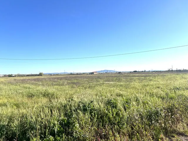 FINCA RUSTICA EN PARAJE LAS CULEBRAS - foto 4
