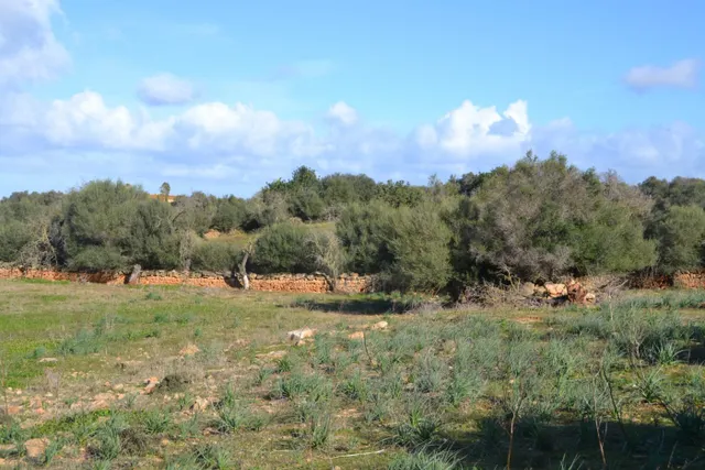 Finca rústica Manacor — 4
