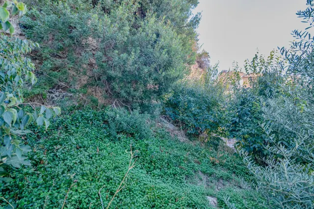 Oportunidad Única: Terreno Urbano en Vélez de Benaudalla - Costa Tropical — 22